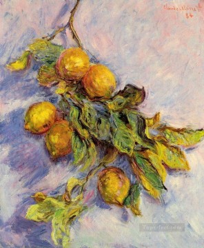 150の主題の芸術作品 Painting - 枝上のレモン クロード・モネの静物画